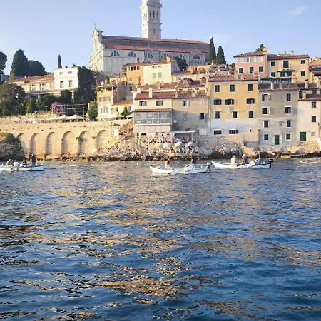 Gorgeous Tiramola *